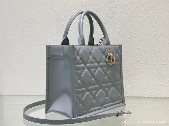 Tony Luxuries SMALL diro TOTE-26.5*21*14CM BOOK 0405